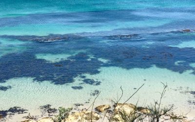 Exploring Jervis Bay Beaches in 2021