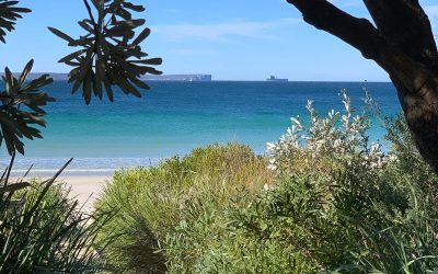 5 Top Tips to make the most out of your Weekend Getaway to Jervis Bay in 2020