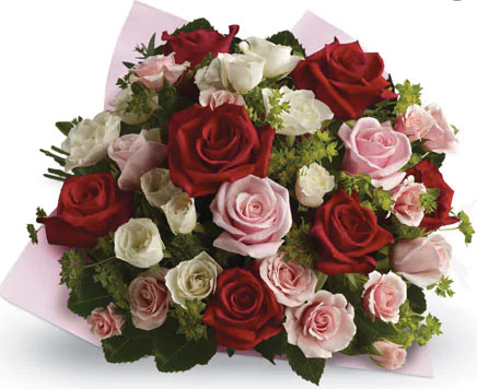 Beautiful roses jervis bay florist valentines day